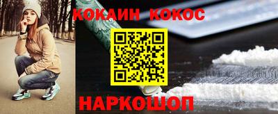 гашик Тверь
