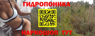 индика Тара