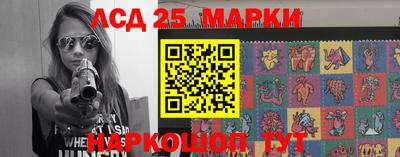 гашик Тверь
