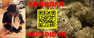 гашик Тверь