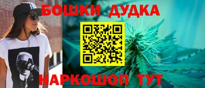 индика Тара