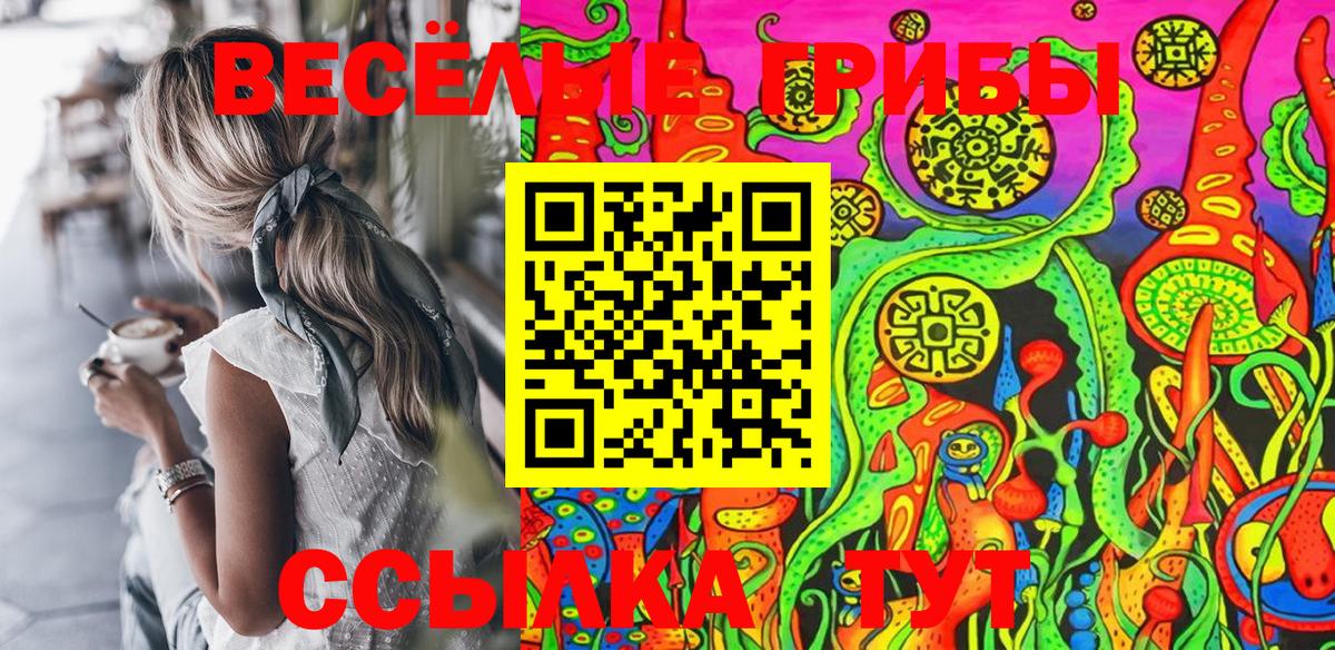 Галлюциногенные грибы MAGIC MUSHROOMS  Псилоцибиновые грибы Cubensis  Рассказово  Вход с VPN 